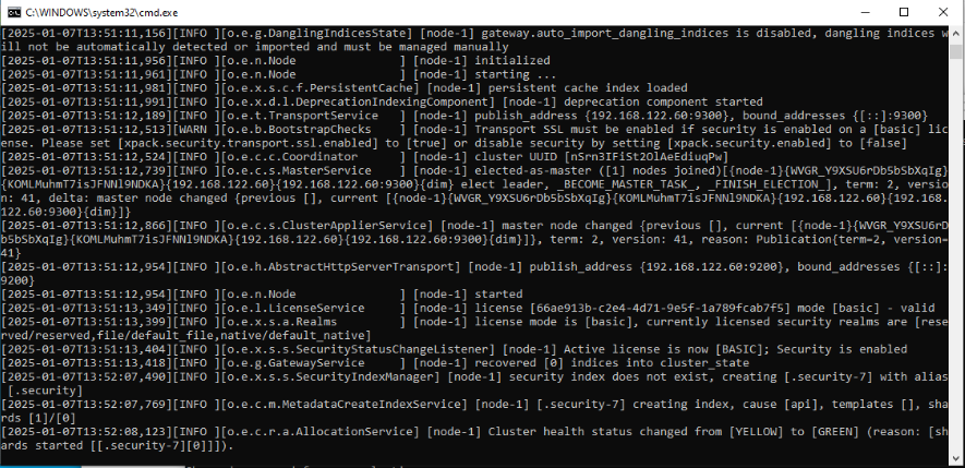 Elasticsearch startup logs
